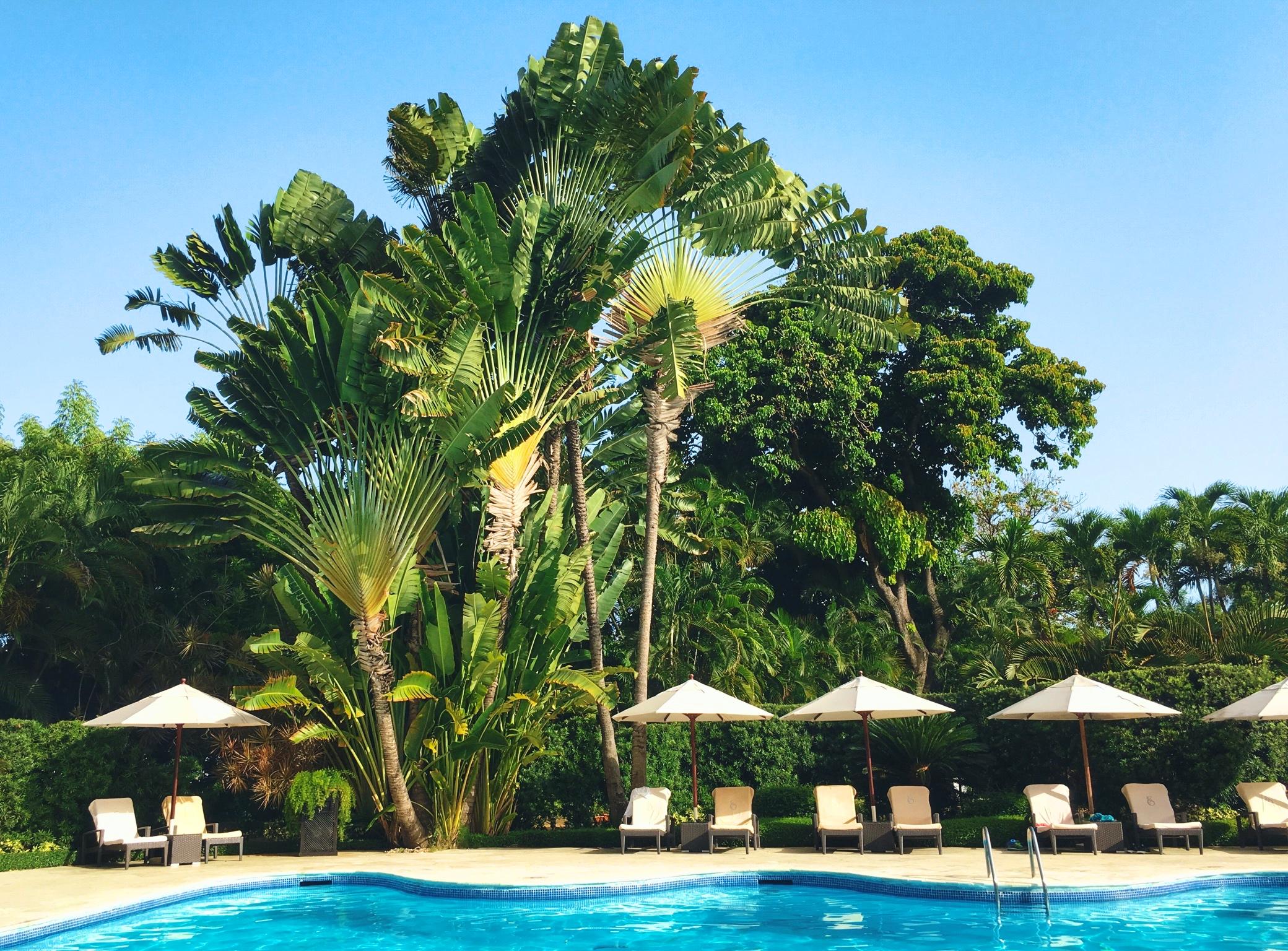 סנטו דומינגו El Embajador, A Royal Hideaway Hotel מראה חיצוני תמונה The swimming pool at the hotel